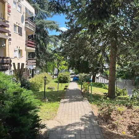 Rozsako *